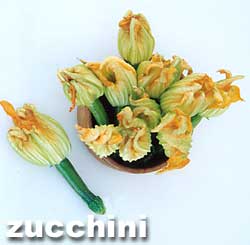 ZUCCINI
